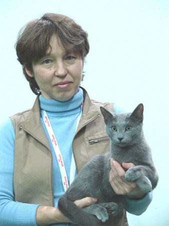 русские голубые котята, питомник Жоли Префере